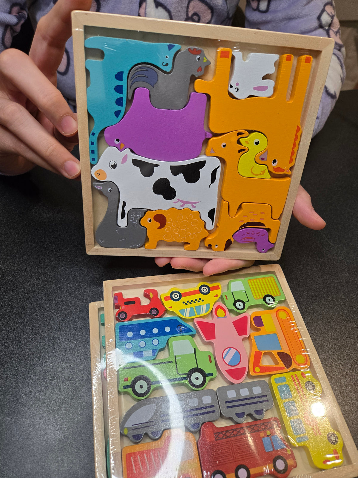 Wooden 3D Puzzle for Toddlers