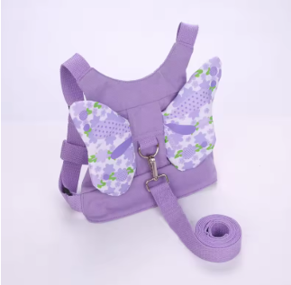 Roam 'n' Regulate Safety Harness