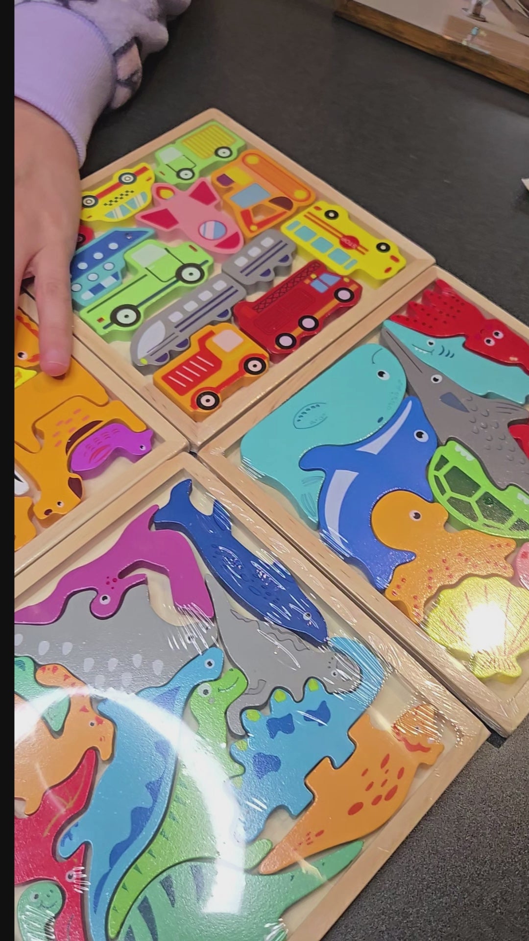 Wooden 3D Puzzle for Toddlers